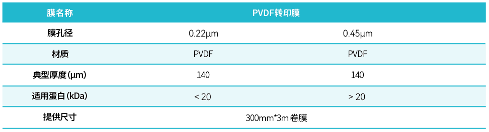 1776757581720514KVNd.png image.png